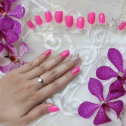 Nail dán nghệ thuật Emy