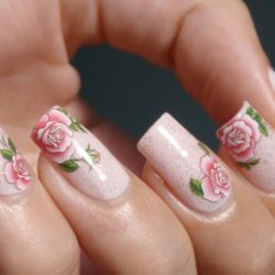 Ngọc Anh Nail – Trần Quý Cáp