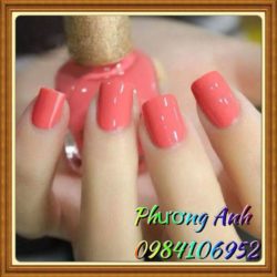 Phương Anh Hair Salon & Nail – Trường Trinh